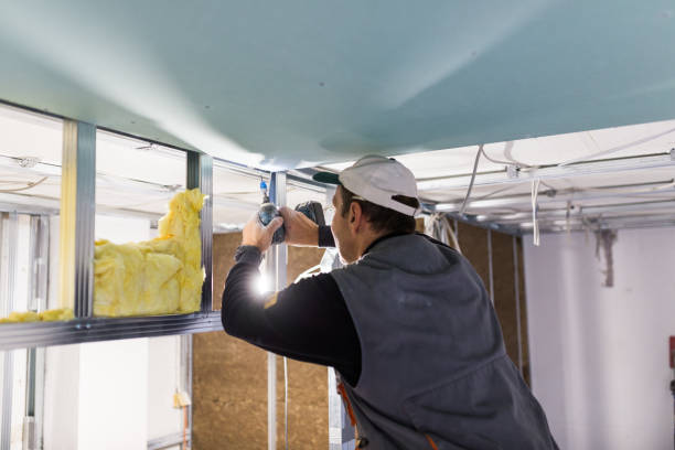 Best Eco-Friendly Insulation in Firthcliffe, NY